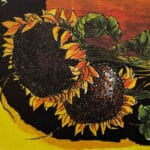 Girasoli