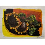 Girasoli - immagine 2
