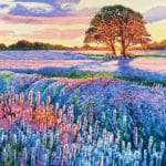 Campo di Lavanda