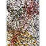 Trapped - immagine 2