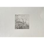 Cervo - immagine 2