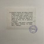 Cervo - immagine 3