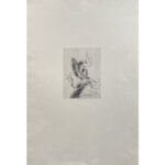 Scoiattolo - immagine 2