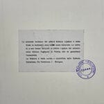 Scoiattolo - immagine 3