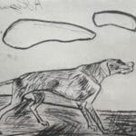Cane e nubi