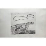 Cane e nubi - immagine 2