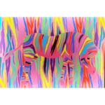 Zebra - Quadro luminoso - immagine 2