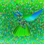 Colibrì