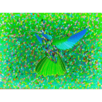 Colibrì - immagine 2