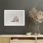 Gorilla - immagine 3