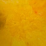 Numero zero - Fiori Gialli