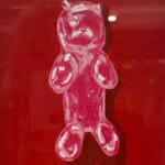 Gummy pink