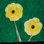The dahlias