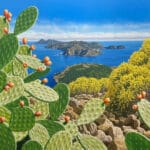 Eolie, gioielli nel Mediterraneo