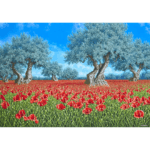 Inno - immagine 2