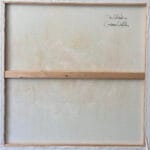 Papaveri - immagine 2