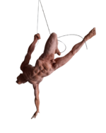 Extension - immagine 2