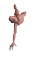 Extension - immagine 3